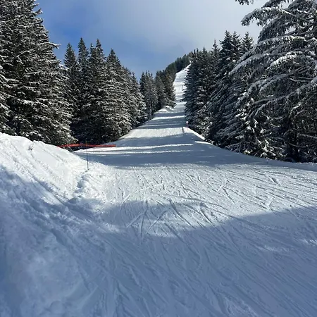 Snow Roc Mountain View Saint-Jean-dʼAulps